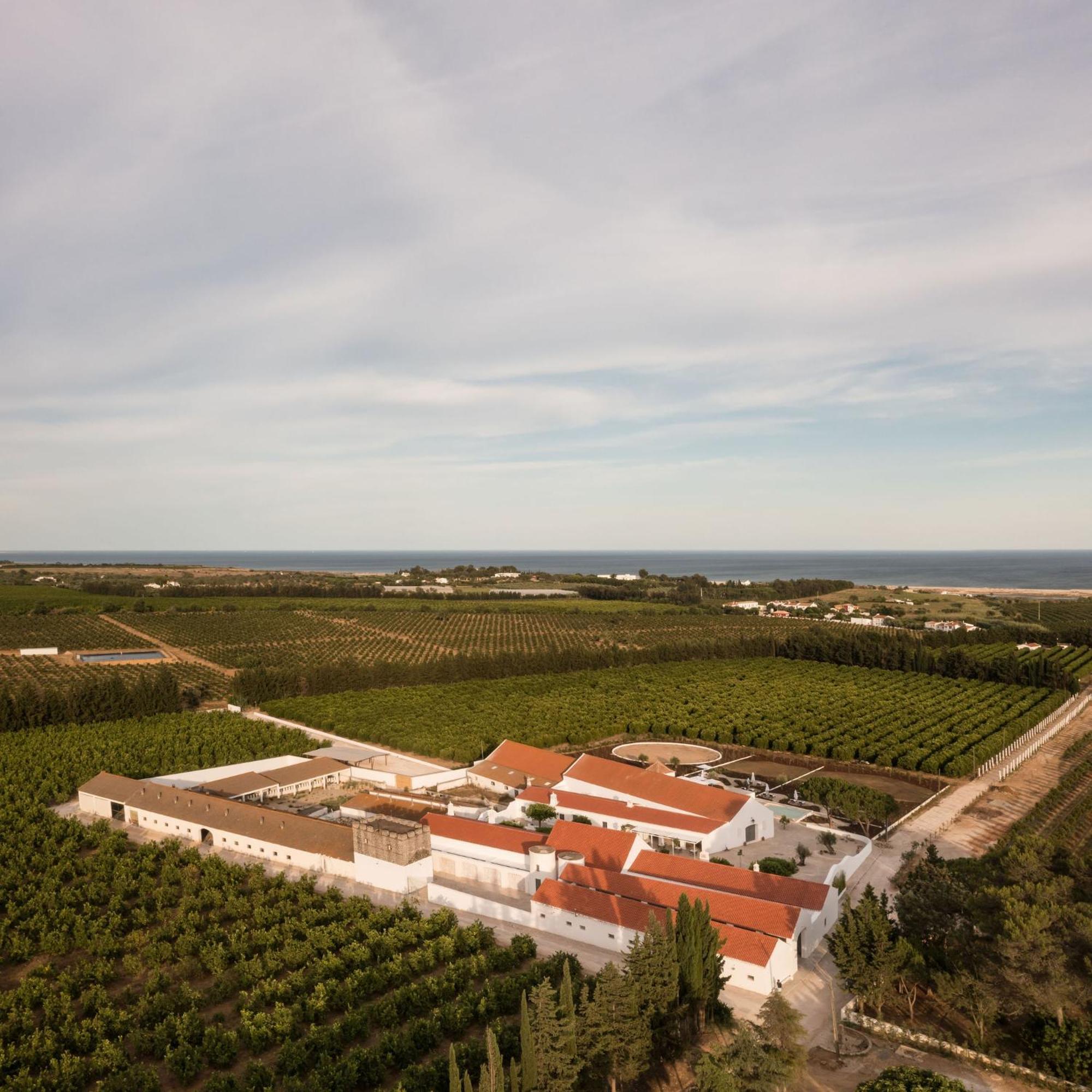 Vila Casas Da Quinta De Cima Vila Nova de Cacela Exteriér fotografie